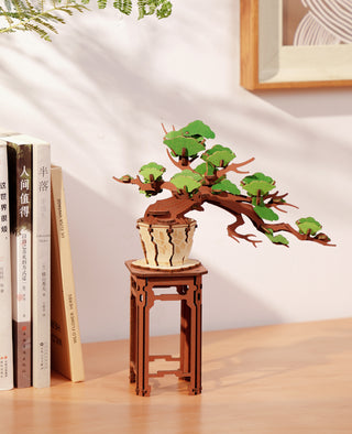 Fyrretræs-Bonsai
