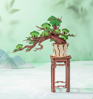 Fyrretræs-Bonsai