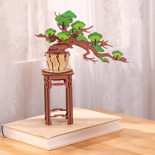 Fyrretræs-Bonsai