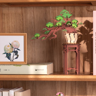 Fyrretræs-Bonsai