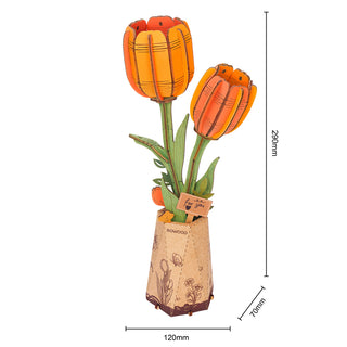 Orange tulipan